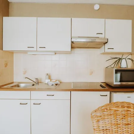 Zeeduin By Interhome Appartement *